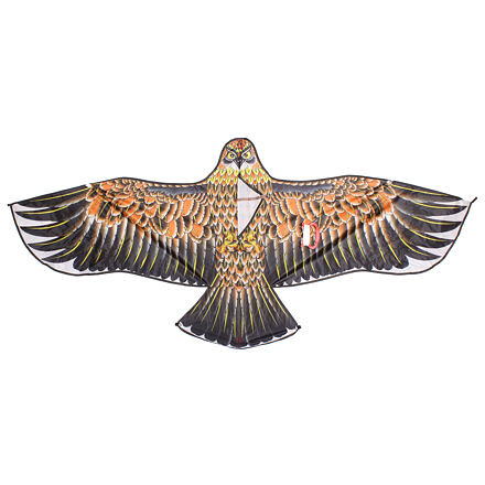 Eagle 17 létající drak varianta 40258