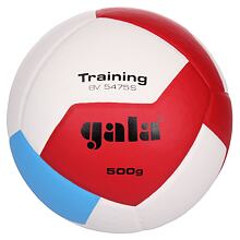 BV5475S Training 500 g volejbalový míč